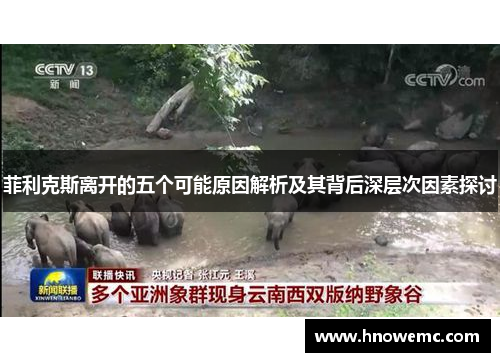 菲利克斯离开的五个可能原因解析及其背后深层次因素探讨